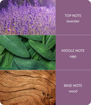 Picture of H&H ESSENTIAL OIL LAVENDER 10ML